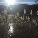 Lemberger Dellach im Drautal