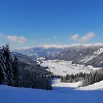 Lemberger 아파트 Dellach im Drautal