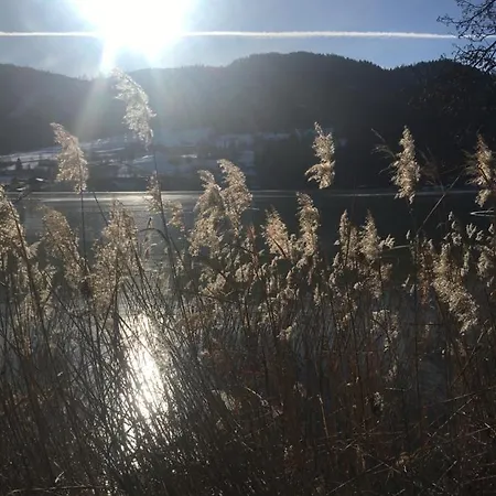 Lemberger Dellach im Drautal