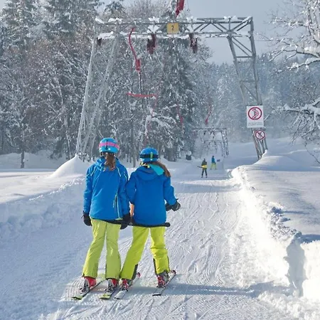 Lemberger Apartment *