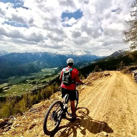 Lemberger Dellach im Drautal