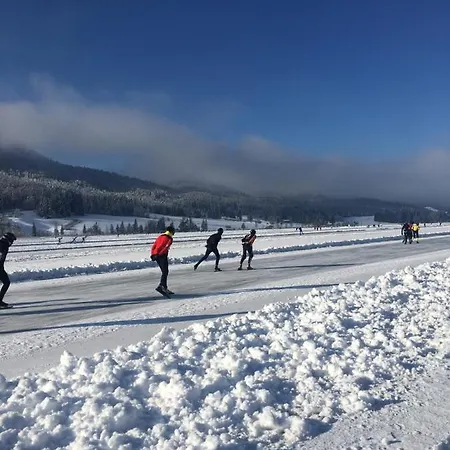 Apartment Lemberger Dellach im Drautal