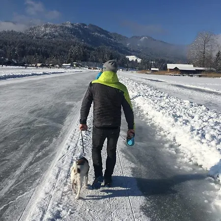 Lemberger Dellach im Drautal