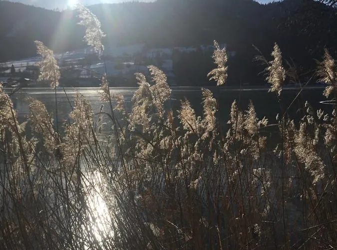 Lemberger Dellach im Drautal