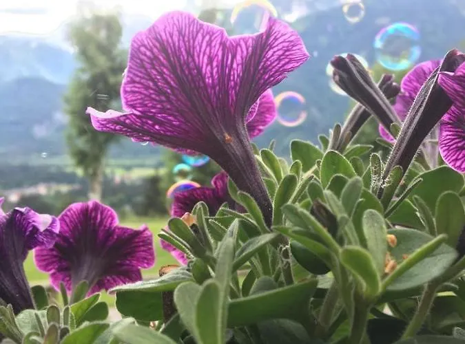 Lemberger דירה Dellach im Drautal