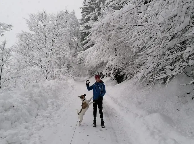 דירה Lemberger Dellach im Drautal