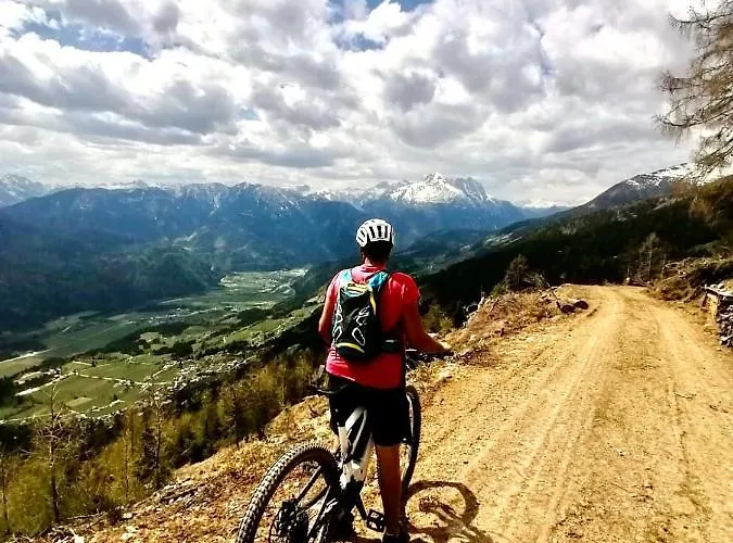 Lemberger Dellach im Drautal